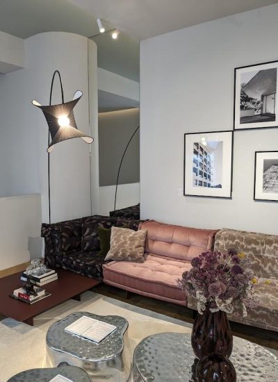 salon intérieur design